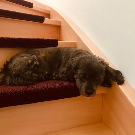 Ferienhaus Urlaub Am Plätlinsee Haus Rike *