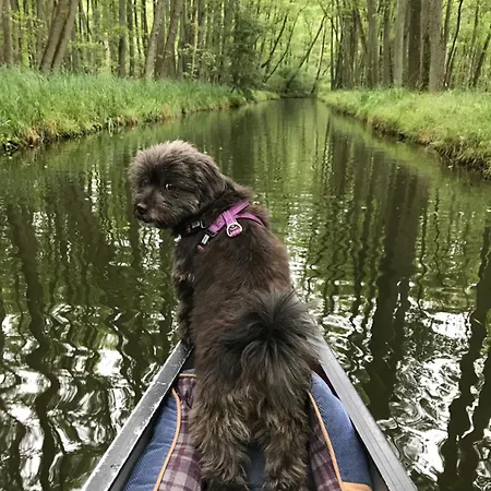 Urlaub Am Plätlinsee Haus Rike *