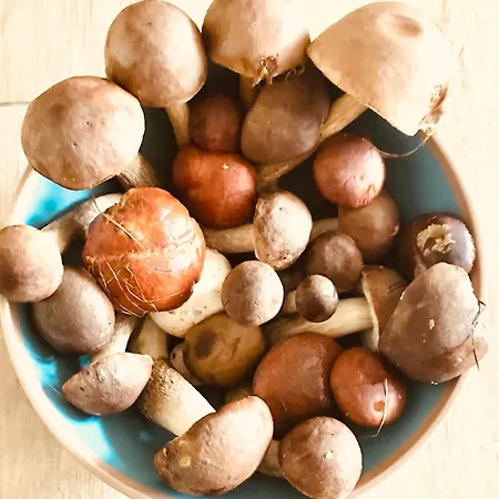 Urlaub Am Plätlinsee Haus Rike Ferienhaus Wustrow (Mecklenburg-Strelitz)