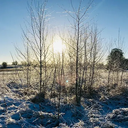 Urlaub Am Plätlinsee Haus Rike Ferienhaus Wustrow (Mecklenburg-Strelitz)