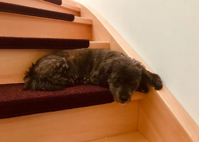 別荘 Urlaub Am Plaetlinsee Haus Rike *