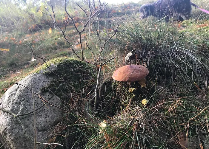 Urlaub Am Plaetlinsee Haus Rike * Wustrow