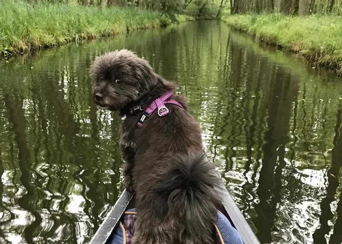 Urlaub Am Plaetlinsee Haus Rike *