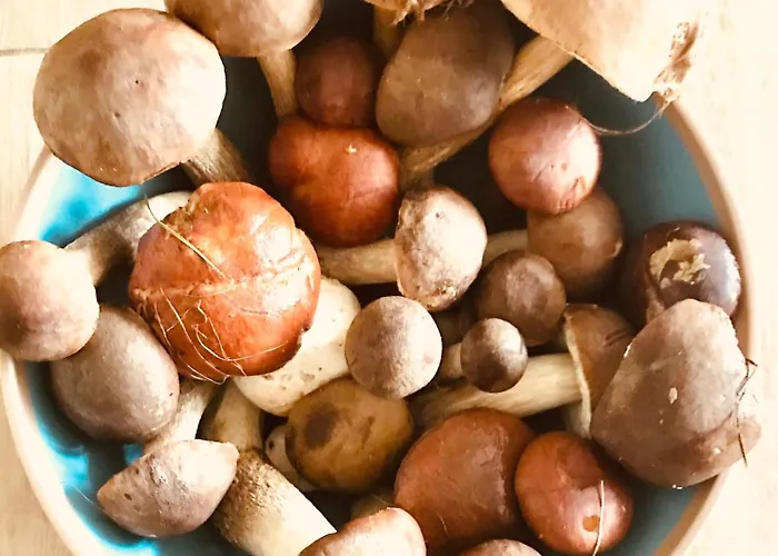 Urlaub Am Plaetlinsee Haus Rike 別荘 Wustrow