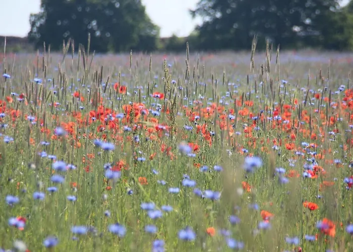 Urlaub Am Plaetlinsee Haus Rike